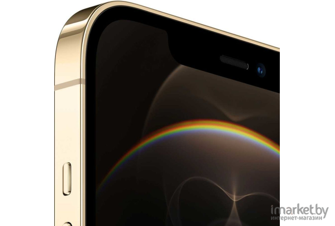 Мобильный телефон Apple iPhone 12 Pro Max 512GB Gold [MGDK3]