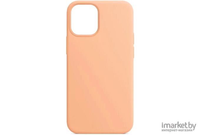 Чехол для телефона Apple iPhone 12 mini Silicone Case with MagSafe Cantaloupe [MJYW3]