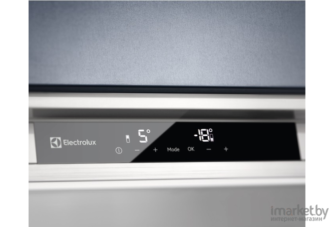 Холодильник Electrolux 600 PRO (RNT8TE18S)