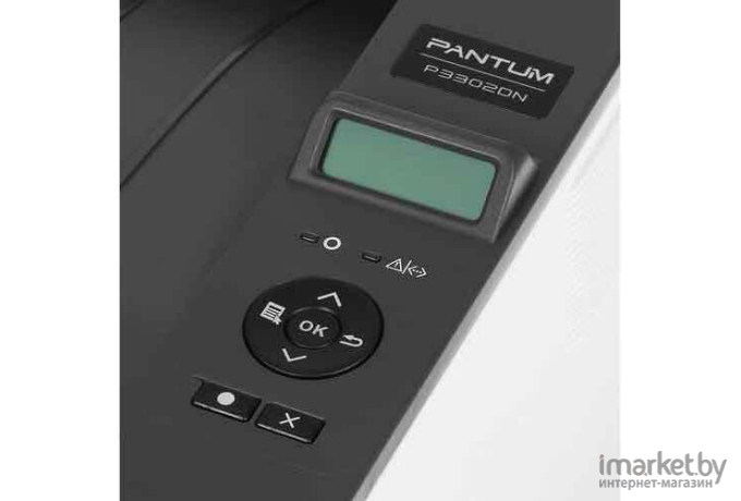 Лазерный принтер Pantum P3302DN