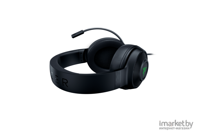 Наушники Razer RZ04-03750100-R3M1