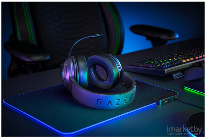 Наушники Razer RZ04-03750100-R3M1