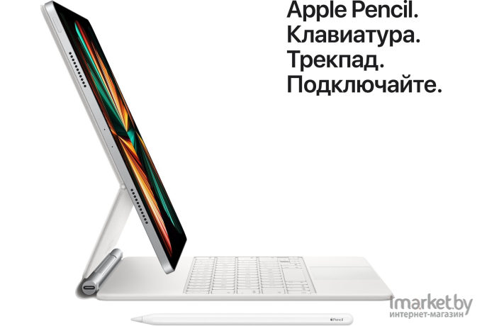 Графический планшет Apple iPad Pro 11-inch Wi-Fi 256GB [MHQV3]