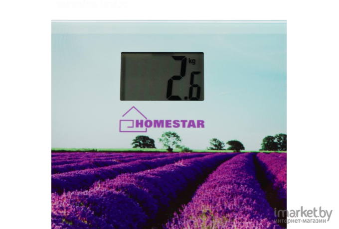 Напольные весы HomeStar HS-6001G [4545]
