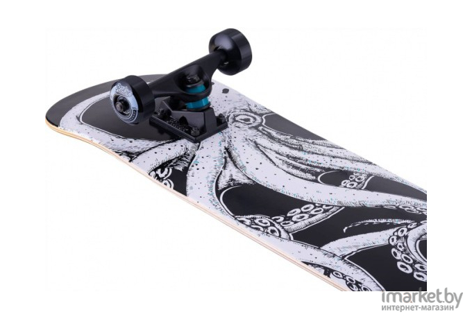 Скейтборд Ridex Octopus 31.65X8
