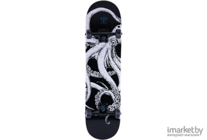 Скейтборд Ridex Octopus 31.65X8