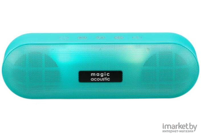Портативная акустика Magic Acoustic SK1019GN зеленый