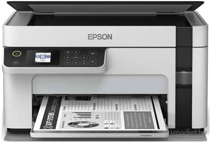 МФУ Epson M2110 [C11CJ19401]