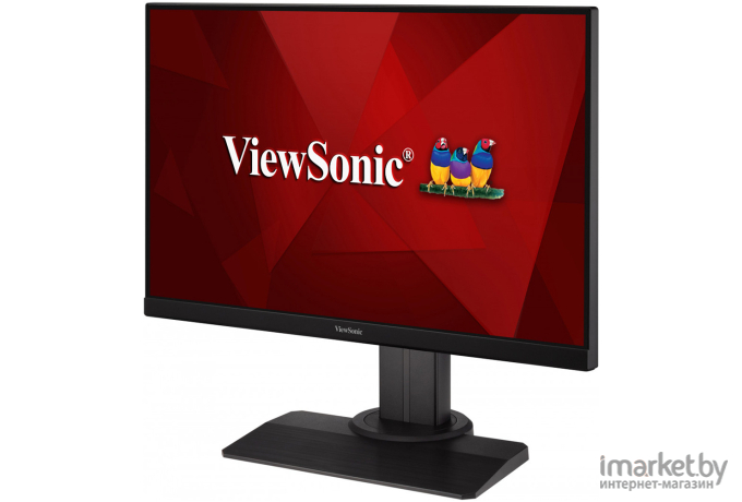 Монитор ViewSonic XG2405-2