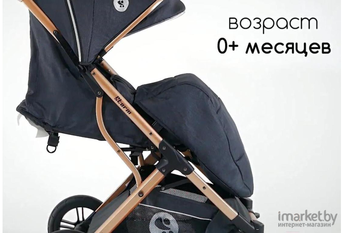 Детская коляска Lorelli Storm Pearl Beige 2021 [10021692182]