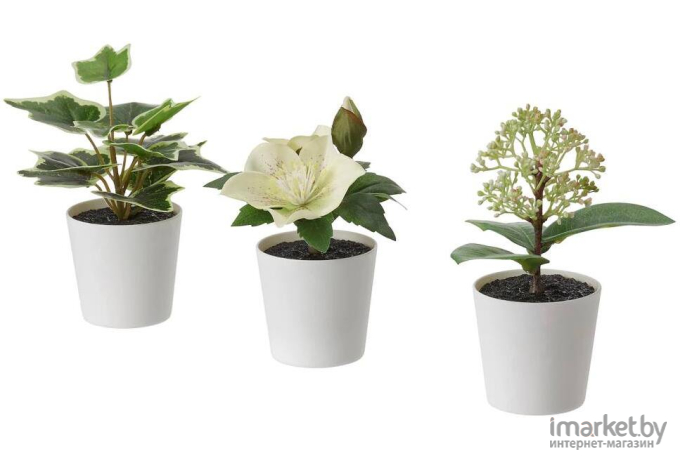 Искусственное растение Ikea Фейка белый [ 504.965.93]