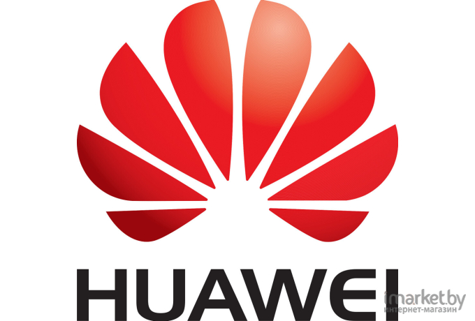 Сетевой контроллер Huawei SR450C-M/2G [03024JMY]