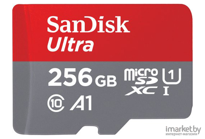 Карта памяти SanDisk MICRO SDXC 256GB UHS-I [SDSQUA4-256G-GN6MN]