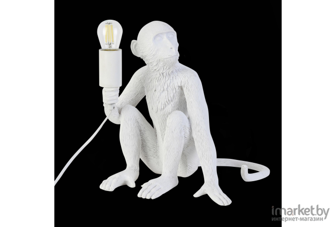 Детская настольная лампа Evoluce SLE115104-01