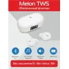 Наушники AccesStyle Melon TWS White