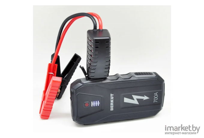 Зарядное устройство для аккумуляторов Berkut JSL-15000