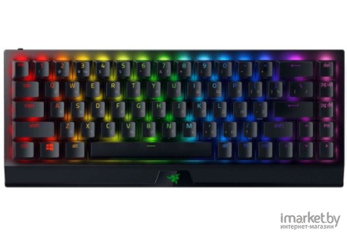 Клавиатура Razer BlackWidow V3 Mini [RZ03-03890700-R3R1]