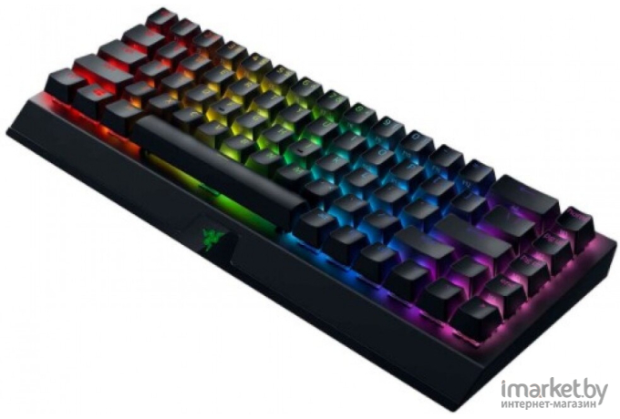 Клавиатура Razer BlackWidow V3 Mini [RZ03-03890700-R3R1]