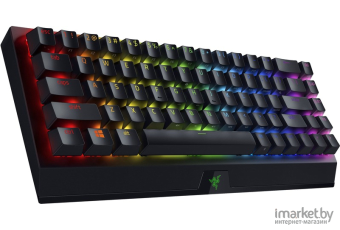 Клавиатура Razer BlackWidow V3 Mini [RZ03-03891600-R3R1]