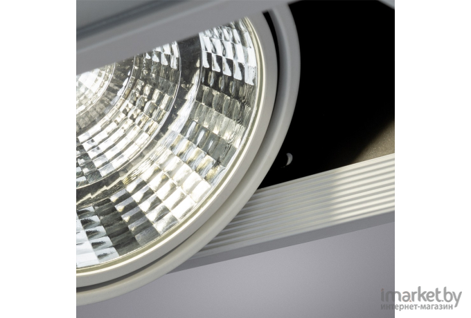Встраиваемый точечный светильник Arte Lamp A8450PL-2WH
