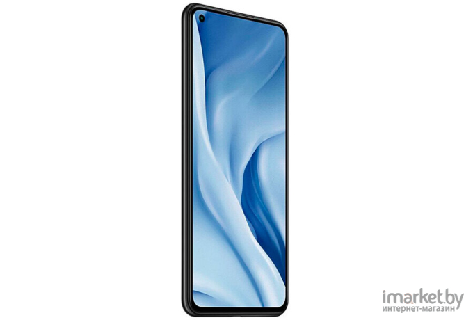 Мобильный телефон Xiaomi 11 LITE 5G NE 8GB/256GB 2109119DG Truffle Black