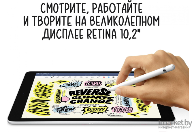 Планшет Apple 10.2-inch iPad [MK4H3]