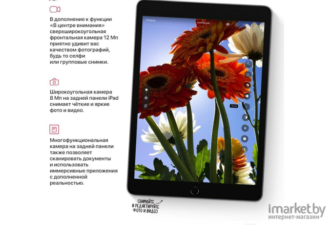 Планшет Apple 10.2-inch iPad [MK4H3]