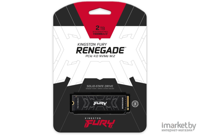 SSD диск Kingston M.2 2000Gb Fury Renegade [SFYRD/2000G]