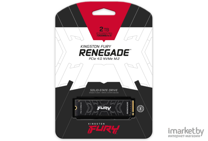 SSD диск Kingston M.2 2000Gb Fury Renegade [SFYRD/2000G]