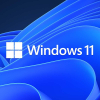 Лицензия Microsoft Windows 11 [FQC-10547]