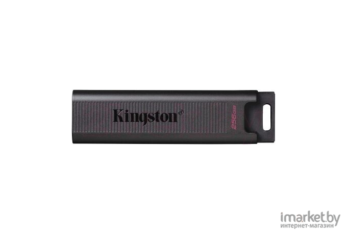 Usb flash Kingston DTMAX/256GB