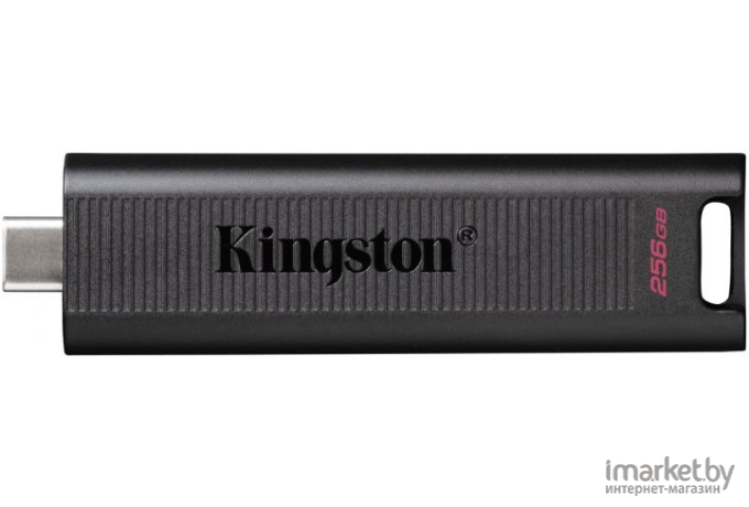 Usb flash Kingston DTMAX/256GB