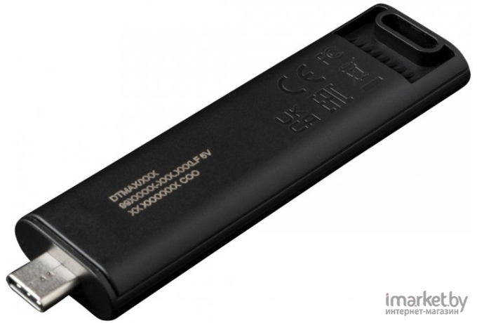 Usb flash Kingston DTMAX/256GB