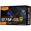 Блок питания SilverStone SST-ST75F-GS v 3.1