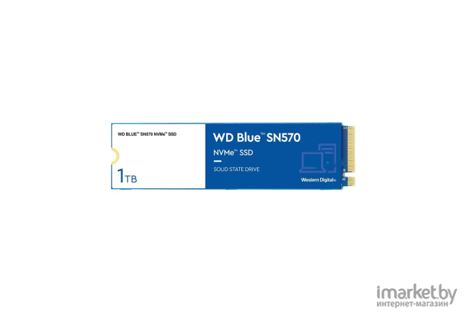 SSD диск WD M.2 2280 1TB Blue [WDS100T3B0C]