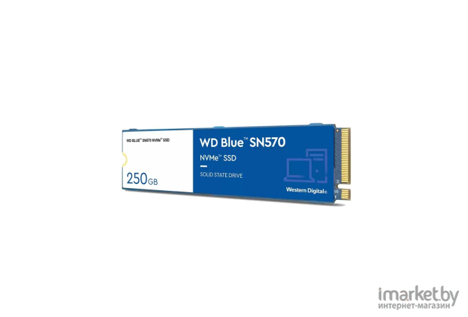 SSD диск WD M.2 2280 250GB BLUE Blue [WDS250G3B0C]