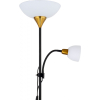 Торшер Arte Lamp A9569PN-2BK