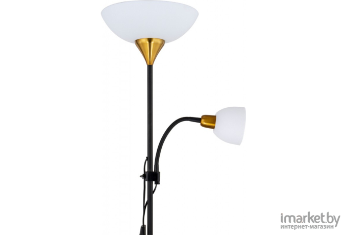 Торшер Arte Lamp A9569PN-2BK