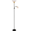 Торшер Arte Lamp A9569PN-2BK