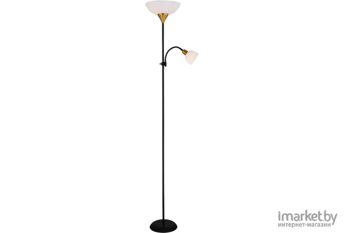 Торшер Arte Lamp A9569PN-2BK