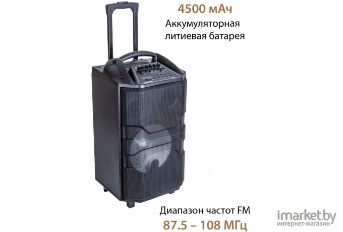 Портативная акустика National NSM-V550