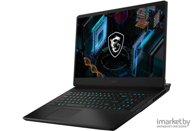 Ноутбук MSI GP76 11UG-877XRU Black [9S7-17K322-877]