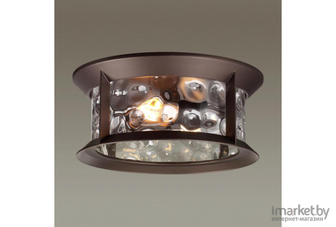 Накладной светильник Odeon Light 4961/2C