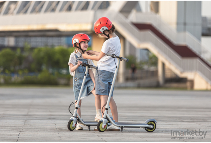 Электросамокат Ninebot KickScooter [C10]