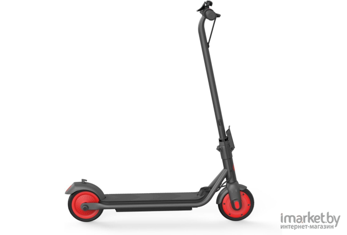 Электросамокат Ninebot KickScooter [C20]