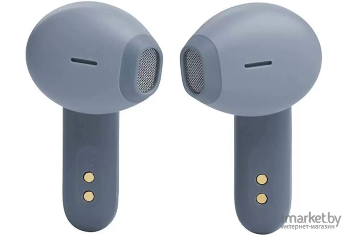 Наушники JBL JBLW300TWSBLU синий