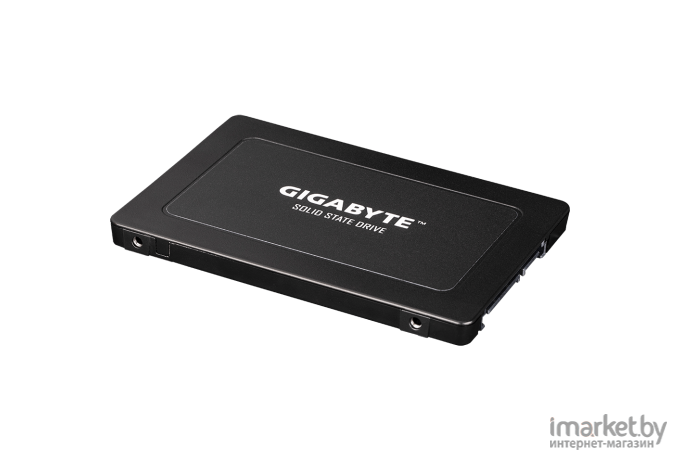 SSD диск Gigabyte 960GB [GP-GSTFS31960GNTD-V]