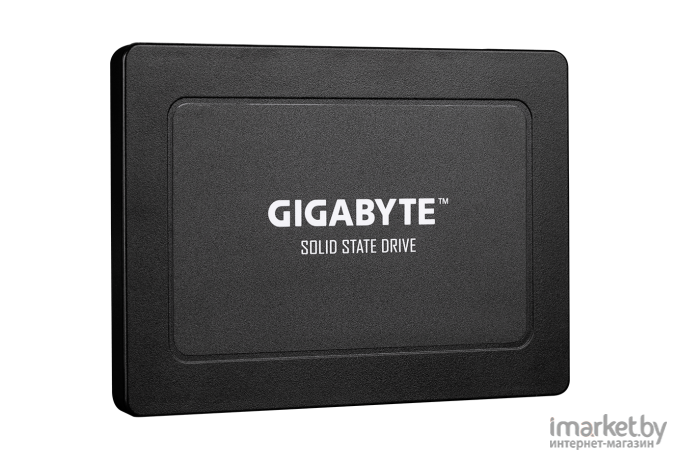 SSD диск Gigabyte 960GB [GP-GSTFS31960GNTD-V]