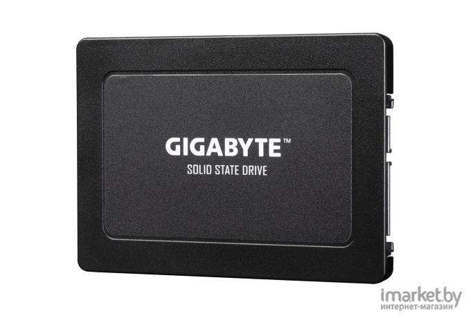 SSD диск Gigabyte 960GB [GP-GSTFS31960GNTD-V]