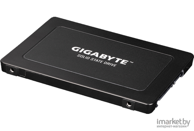 SSD диск Gigabyte 960GB [GP-GSTFS31960GNTD-V]